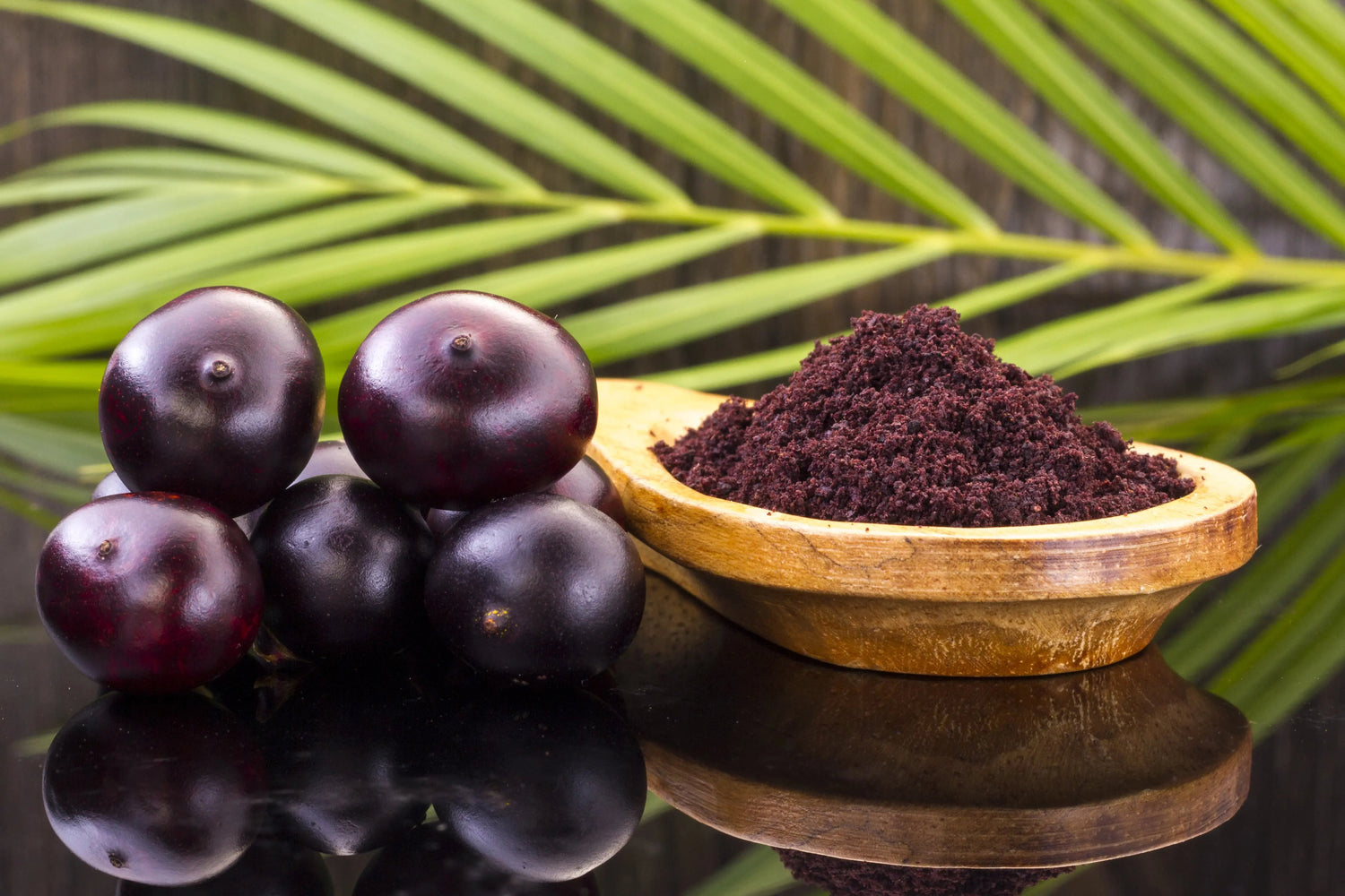 Comprehensive Guide to oribite Diabex Capsules