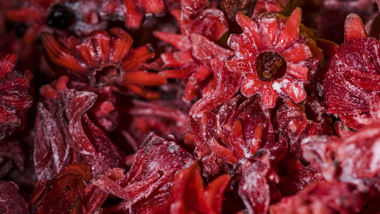 Comprehensive Guide to Fat Burner Supplements