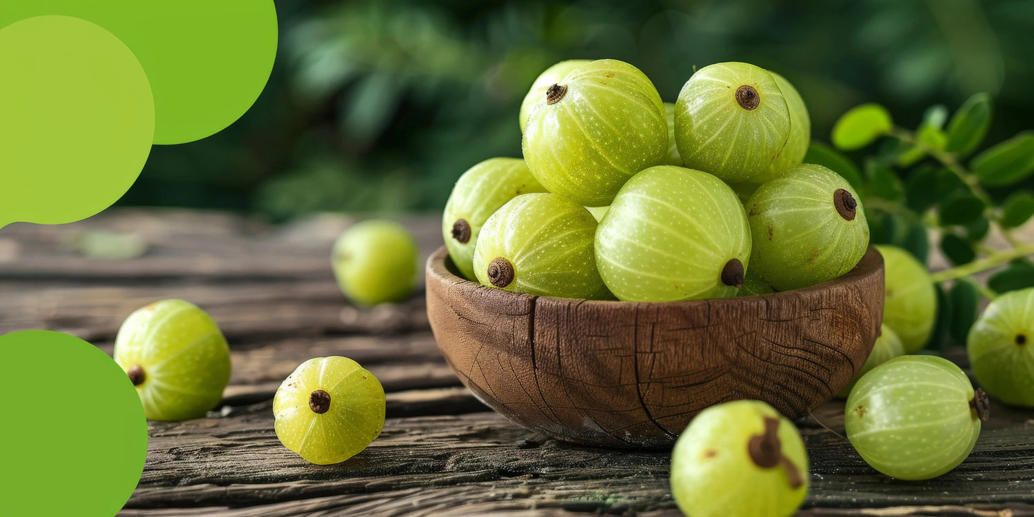 Comprehensive Guide to Oribite Immunity Booster Capsules