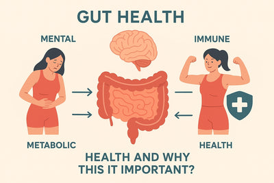 Gut Health & Digestion