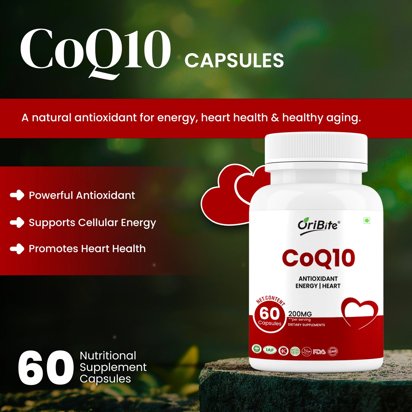 Oribite CoQ10 200mg, 60 Veggie Capsules | High Absorption Coenzyme Q10 Supplement | Antioxidant for Heart, Energy & Healthy Aging | Ubiquinone Dietary Supplement