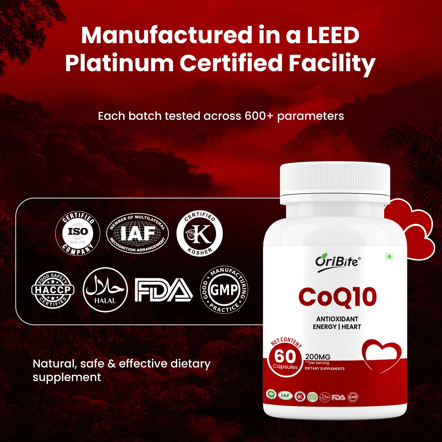 Oribite CoQ10 200mg, 60 Veggie Capsules | High Absorption Coenzyme Q10 Supplement | Antioxidant for Heart, Energy & Healthy Aging | Ubiquinone Dietary Supplement