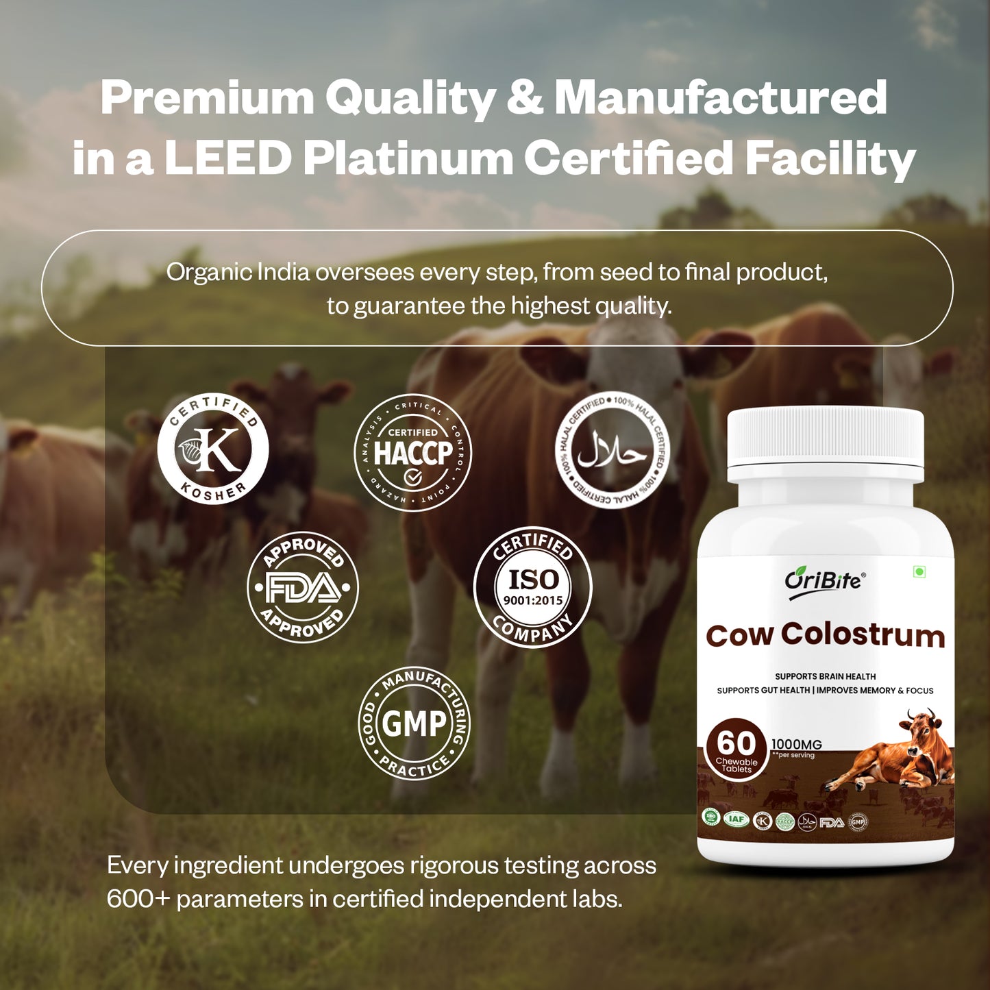 Oribite Cow Colostrum Capsule | 60 Tablets