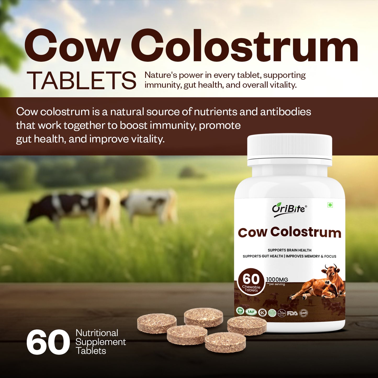Oribite Cow Colostrum Capsule | 60 Tablets