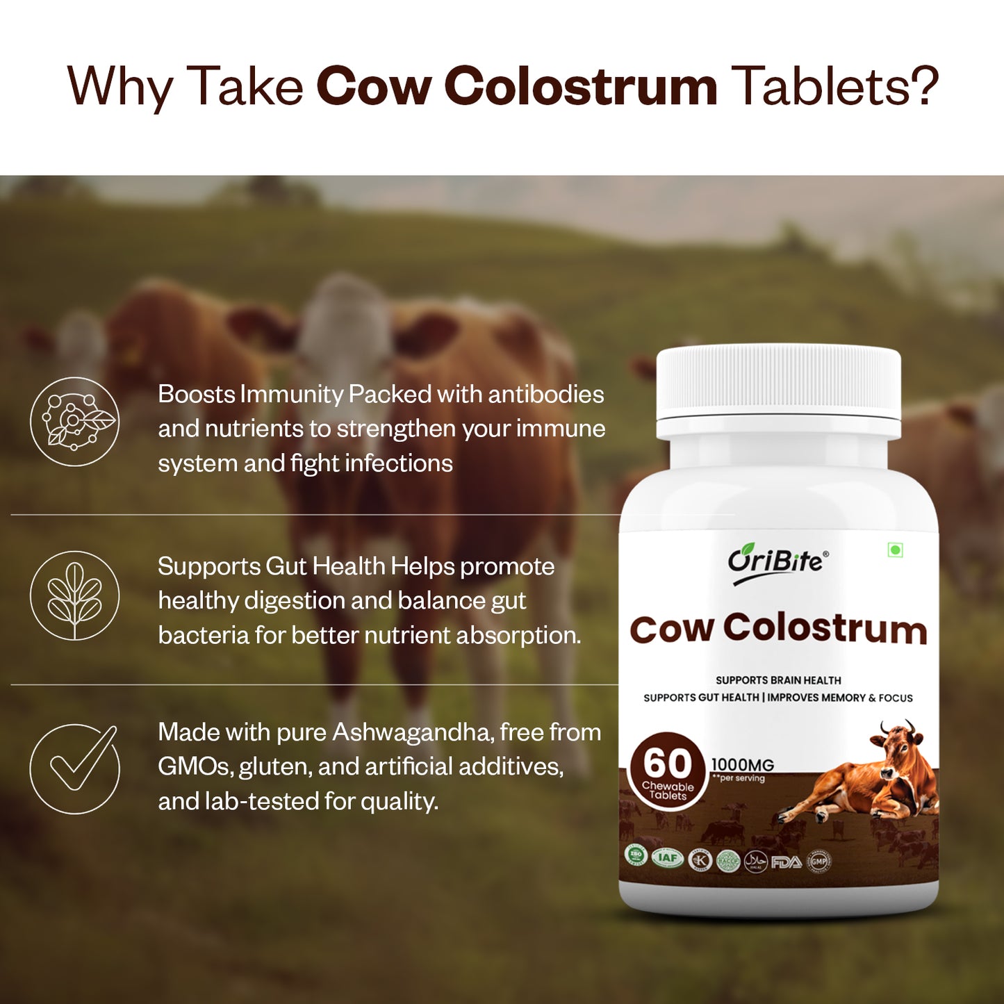Oribite Cow Colostrum Capsule | 60 Tablets