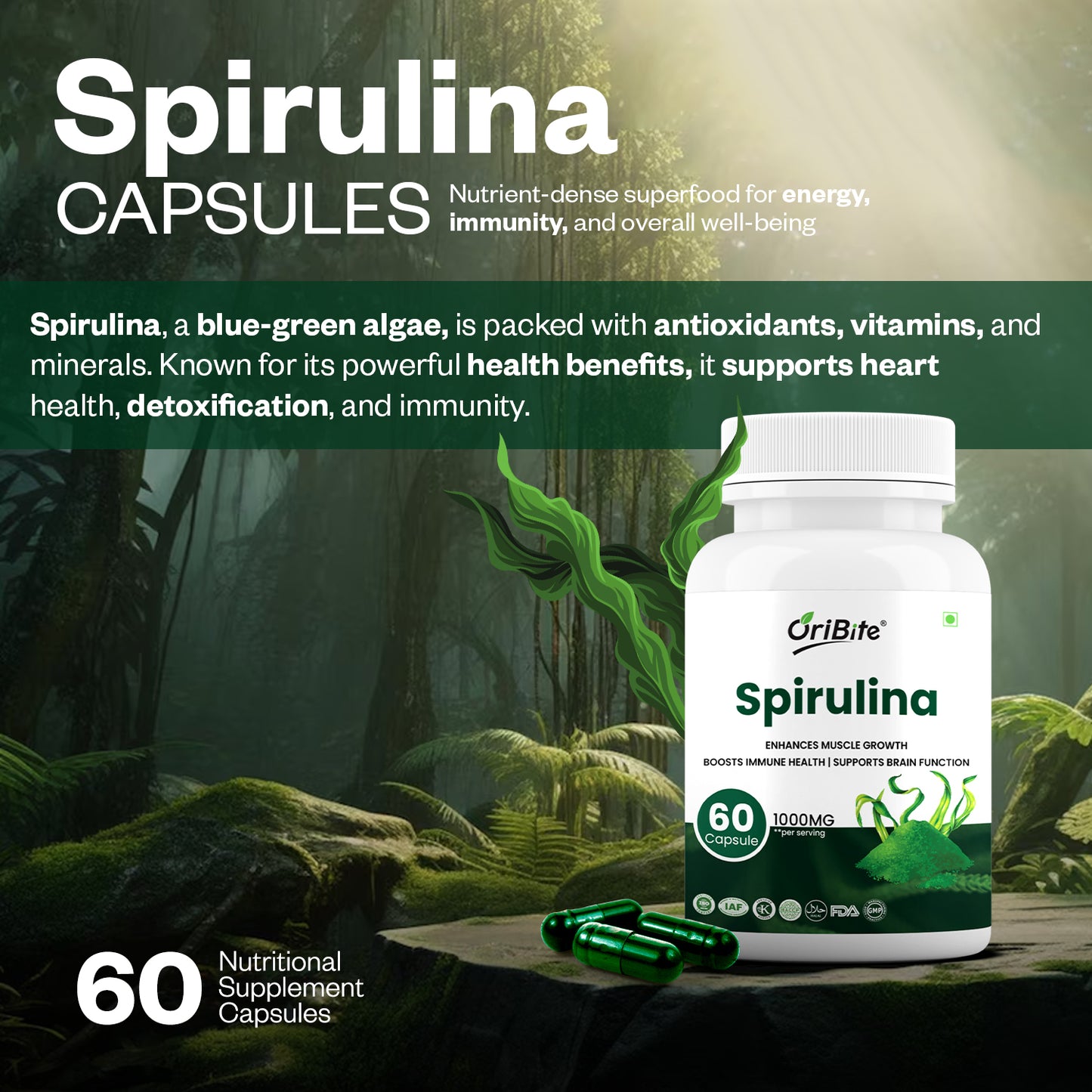 Oribite Spirulina Capsule | Enhances Muscle Growth Support Brain Function | Boosts Immune Health | 60 Capsule