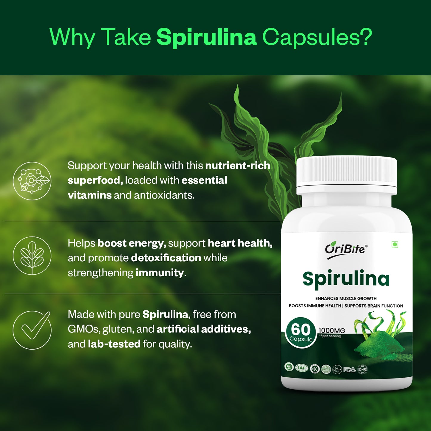 Oribite Spirulina Capsule | Enhances Muscle Growth Support Brain Function | Boosts Immune Health | 60 Capsule
