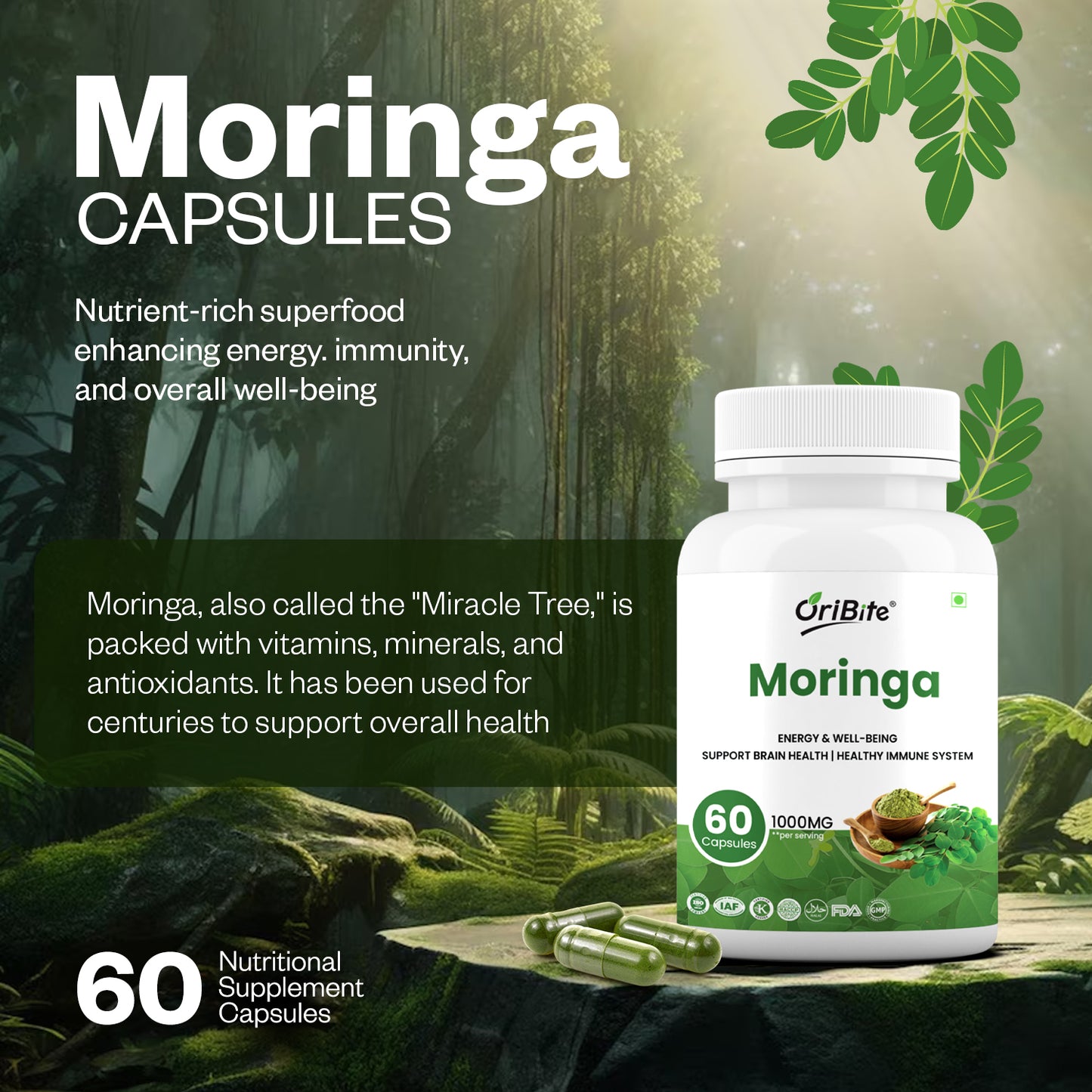 Oribite Moringa Capsule | Helps in Energy Well-Being Support Brain Health Healthy Immune System | 60 Capsule