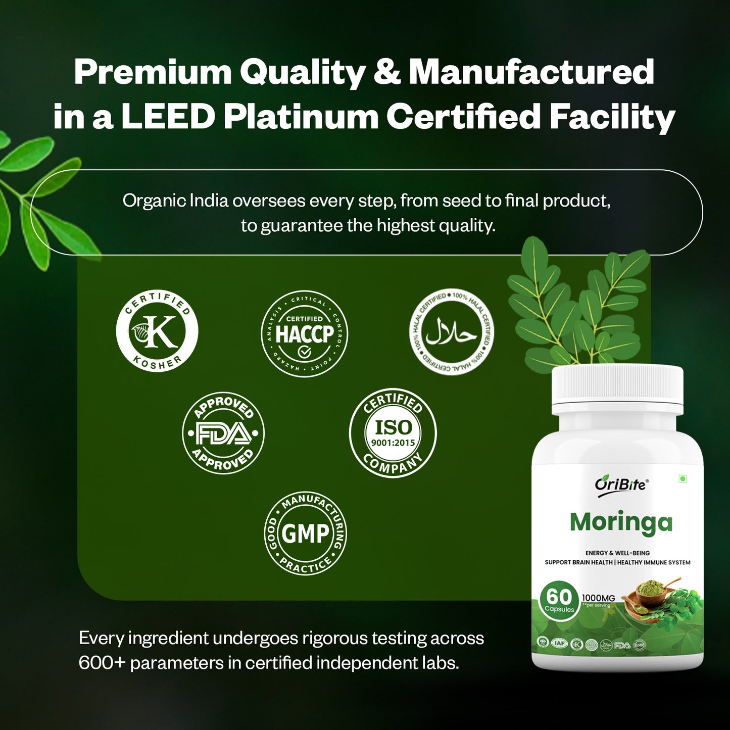 Oribite Moringa Capsule | Helps in Energy Well-Being Support Brain Health Healthy Immune System | 60 Capsule