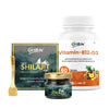 Shilajit Gold & Vitamin B12 – Brain Health, Energy & Stress Support