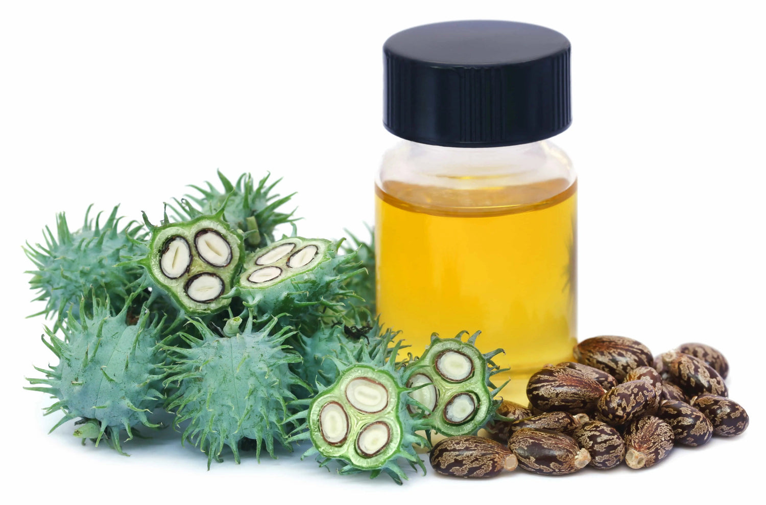 Comprehensive Guide to Power-X  Capsules
