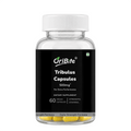 A clear plastic bottle of OriBite Tribulus Capsules with a white cap and a black label, containing yellow capsules visible at the bottom, on a white background.