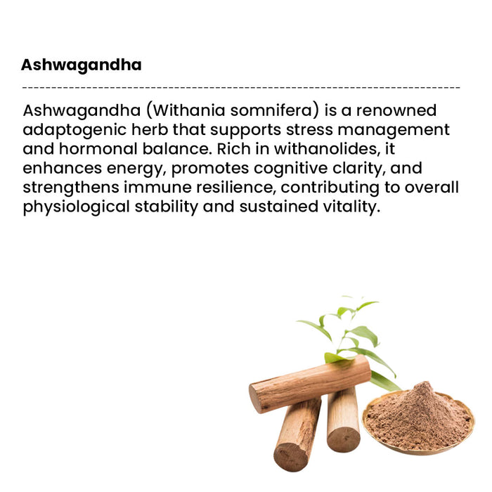 shilajit capsules 2 