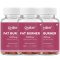 Three clear plastic bottles of OriBite Fat Burner 1000mg dietary supplements with white caps and magenta labels, arranged in a row against a white background.