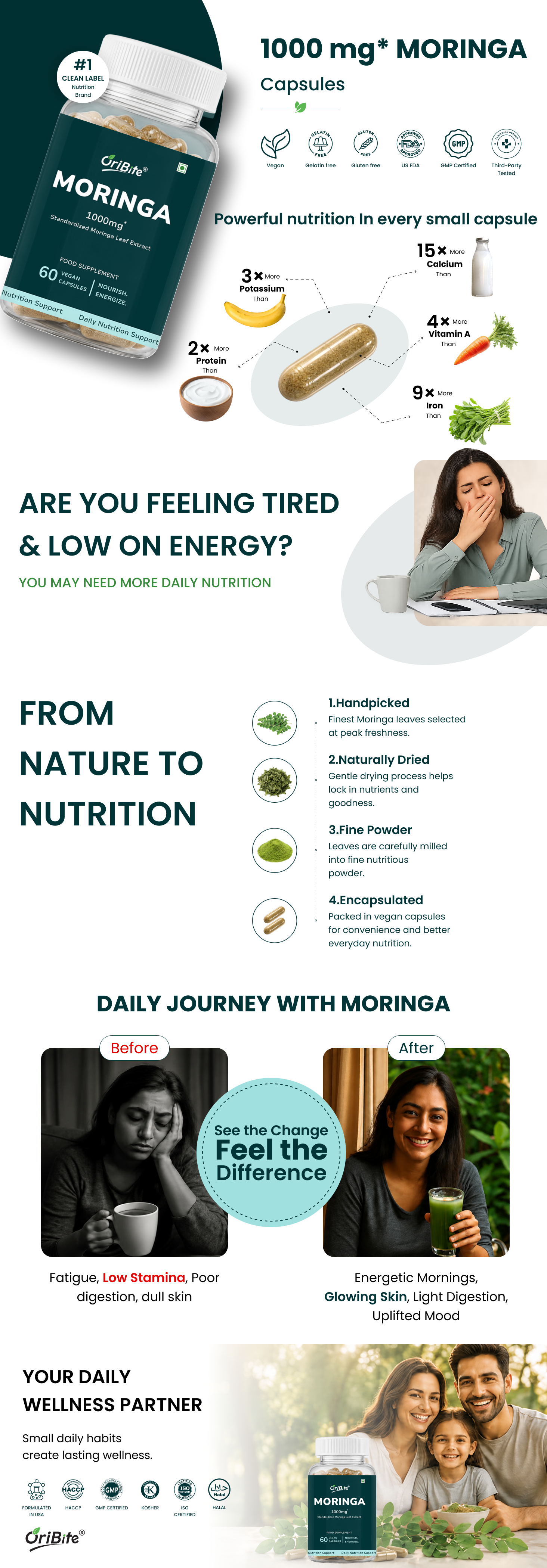 Moringa Oleifera Leaf Extract Capsules for Immunity & Nutrition