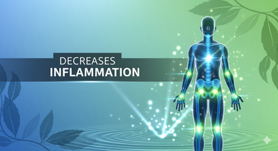 Decreases Inflammation