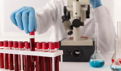 Supports Red Blood Cell Production