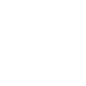 Gut Health Support