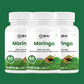 Moringa Oleifera Leaf Extract Capsules for Immunity & Nutrition