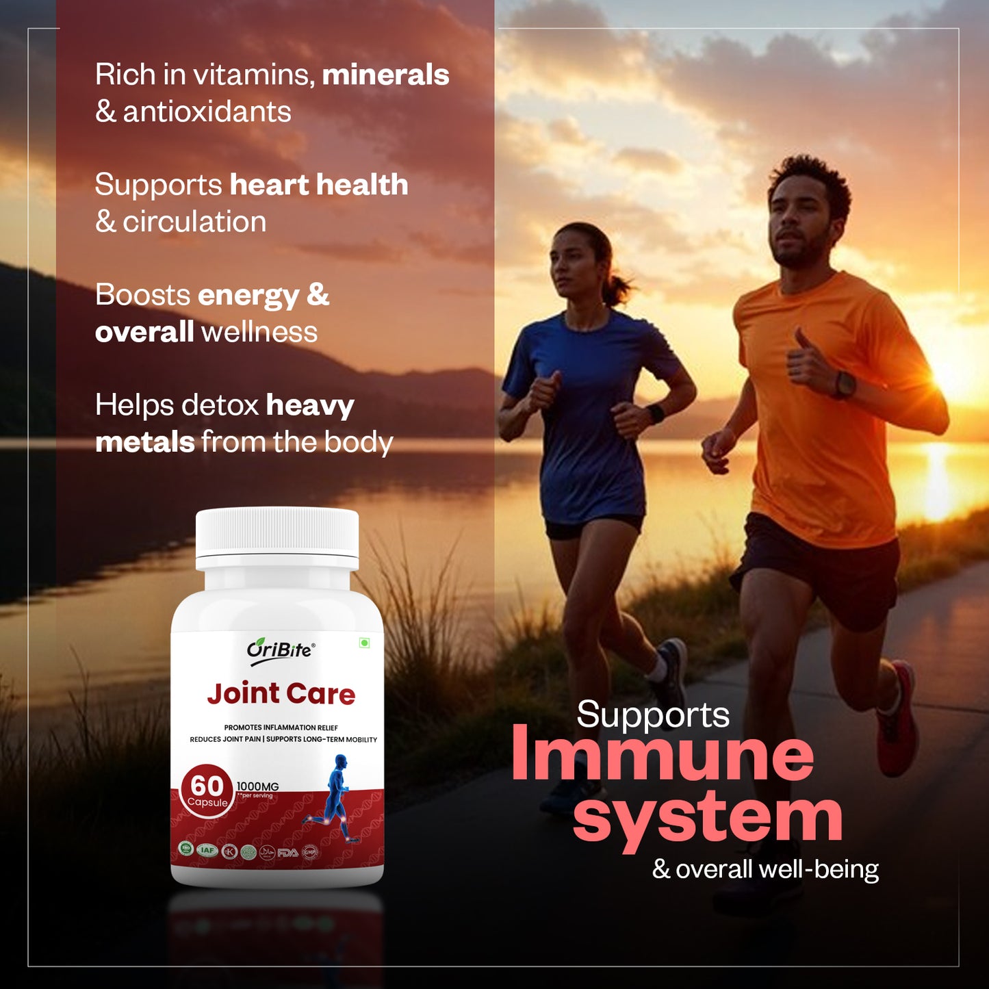 Oribite Joint Care Capsules Immune System