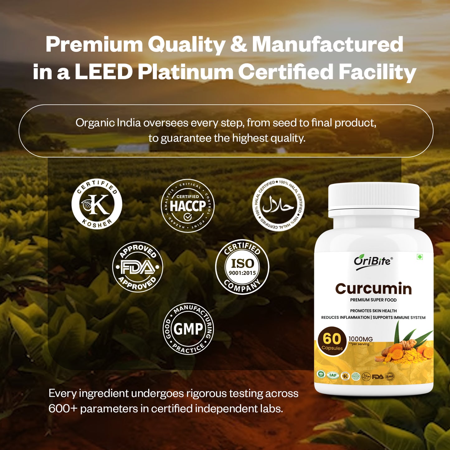 Oribite Curcumin Capsule | 60 Capsule