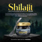 Oribite Shilajit Resin 20G