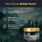 Oribite Shilajit Resin 20G