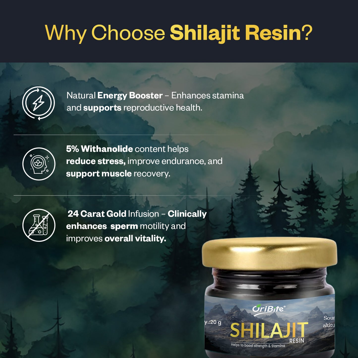 Oribite Shilajit Resin 20G