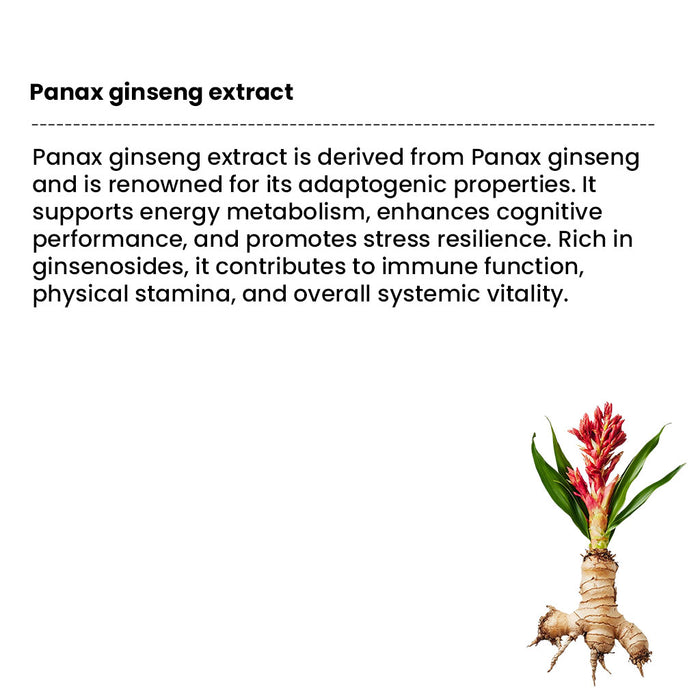 powerx 6