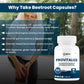 Provitalize & Previtalize Slim Gut Bundle | Menopause Prebiotics & Probiotics for Women | Supports Digestion, Joint Health, Belly Fat & Energy | 30 Day Supply