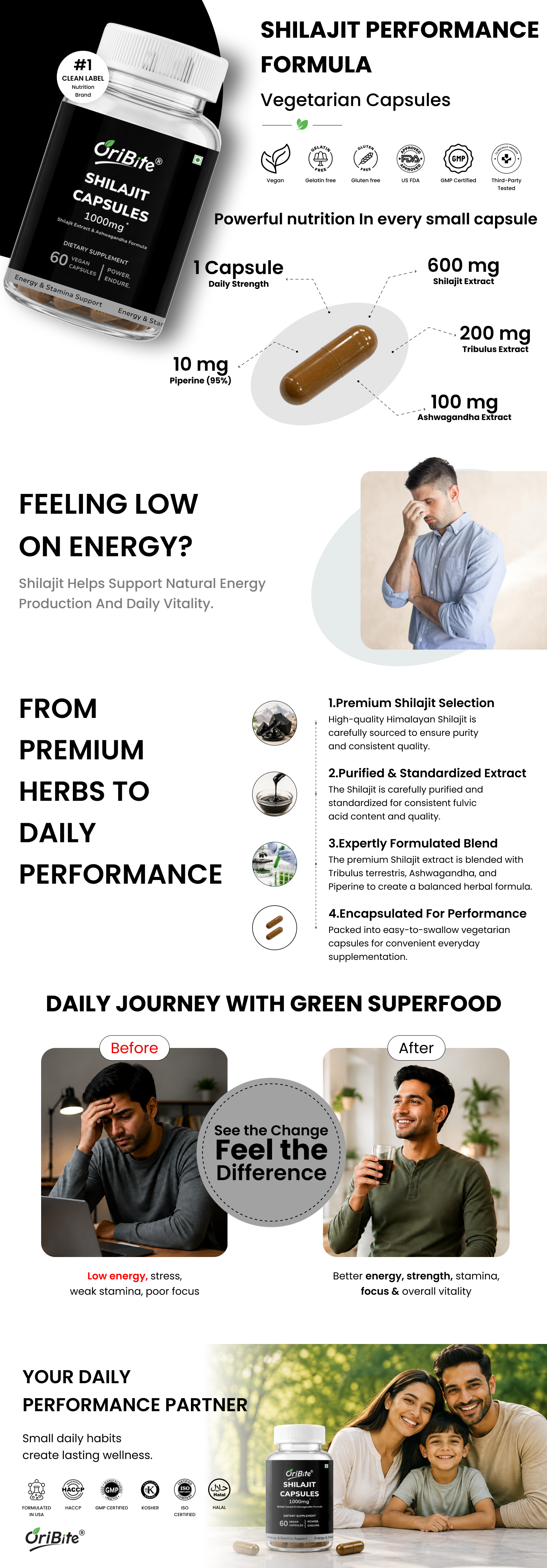 Shilajit 1000mg Capsules