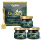 Oribite Gold Shilajit Resin | Contains 24k Gold | 20G