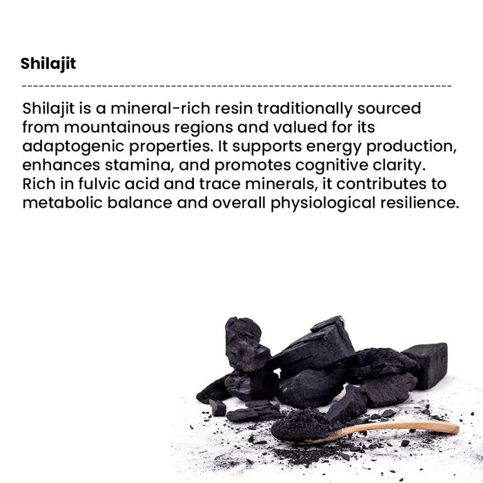 shilajit capsules 1 