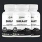 Shilajit Extract Capsules for Stamina & Vitality - Oribite