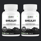 Shilajit Extract Capsules for Stamina & Vitality - Oribite
