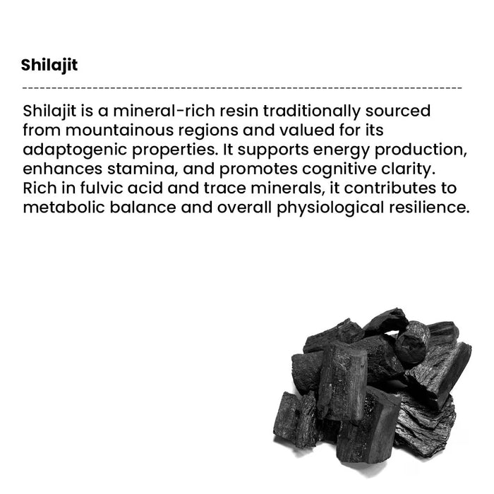 shilajit resin