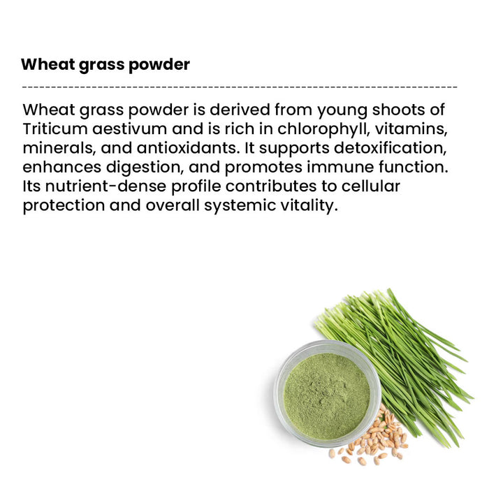 green super food 12 