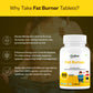 Oribite Fat Burner Capsule | 60 Tablets