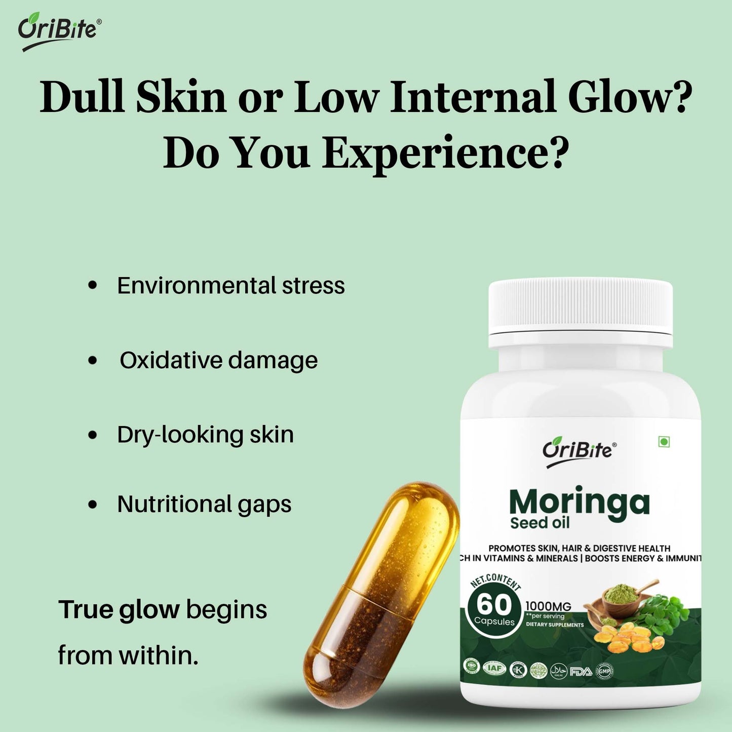 Moringa Seed Oil Capsules for Energy & General Wellness