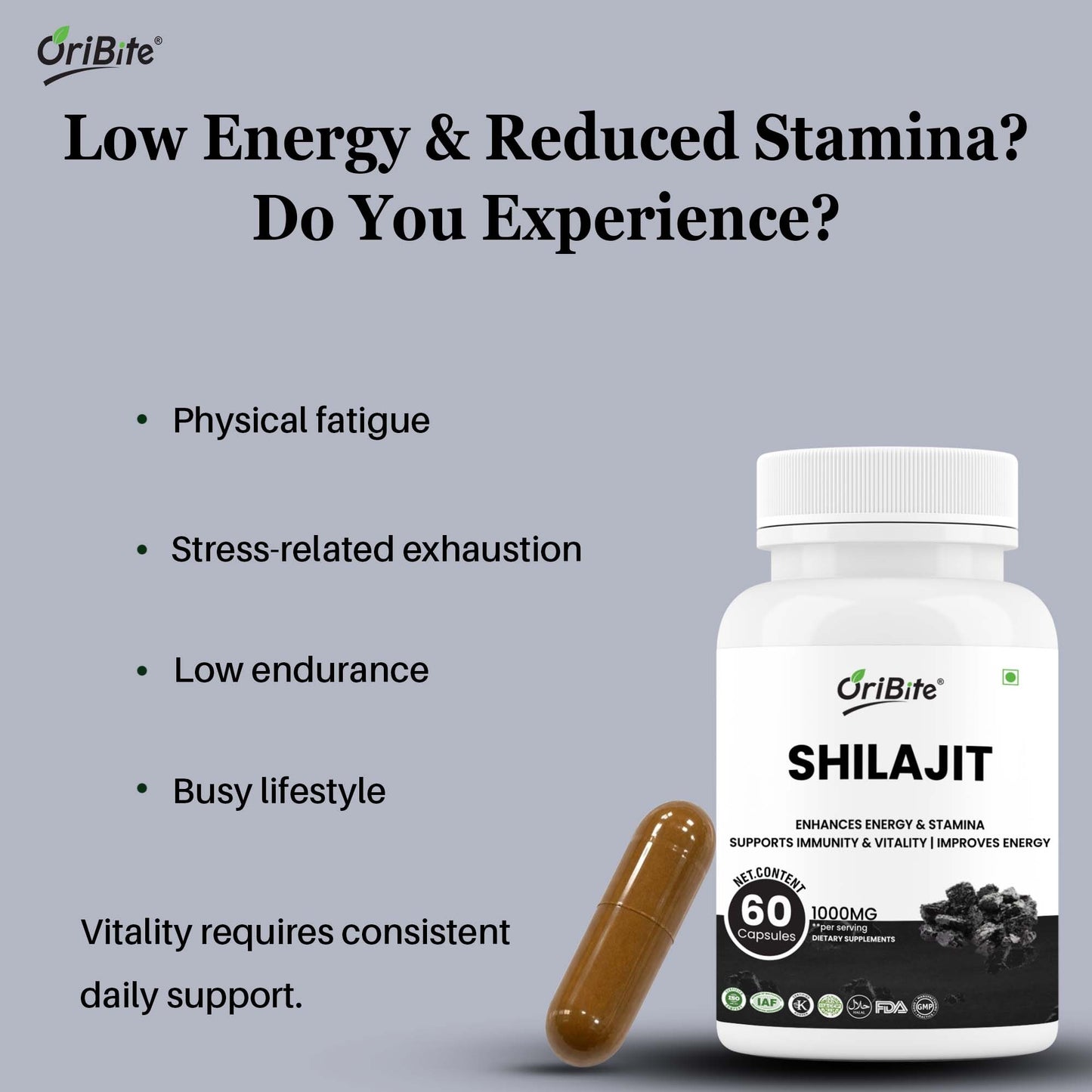 Shilajit Extract Capsules for Stamina & Male Vitality