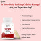 CoEnzyme Q10 Capsules for Energy & Healthy Aging - Oribite