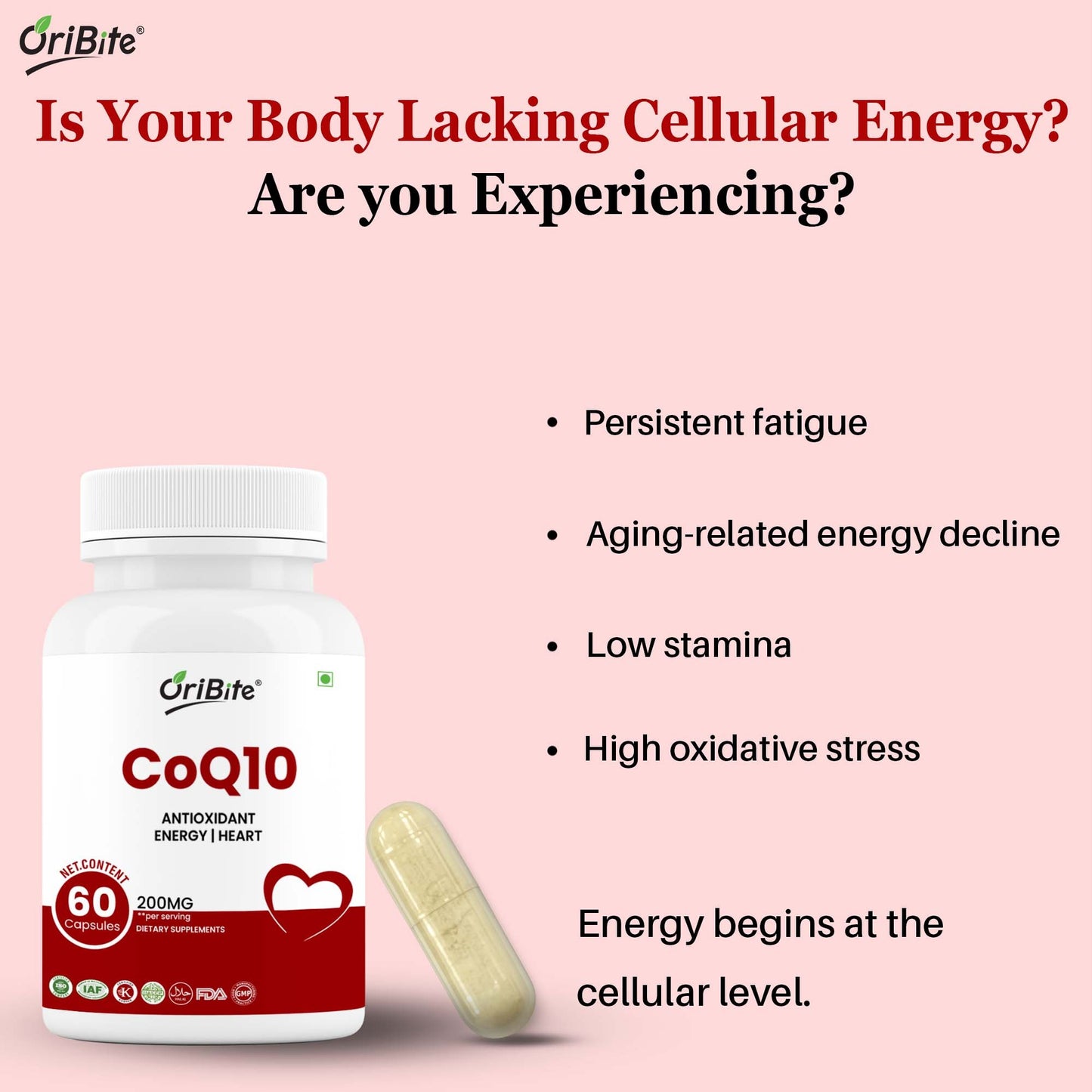 CoEnzyme Q10 Capsules for Energy & Healthy Aging