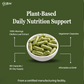 Moringa Oleifera Leaf Extract Capsules for Immunity & Nutrition