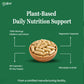 Moringa Oleifera Leaf Extract Capsules for Immunity & Nutrition