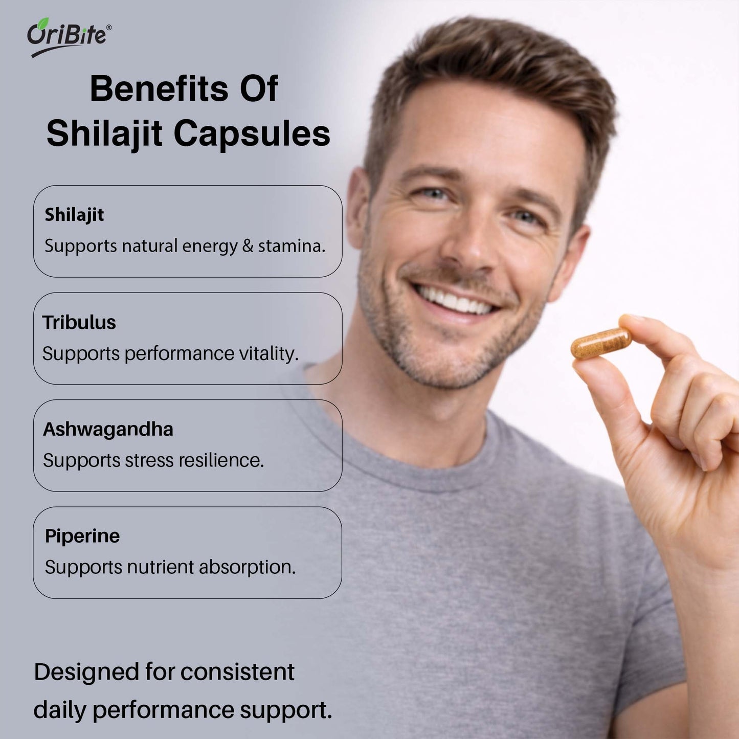 Shilajit Extract Capsules for Stamina & Male Vitality