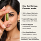 Moringa Oleifera Leaf Extract Capsules for Immunity & Nutrition
