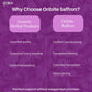 Saffron Extract Capsules for Mood & Emotional Balance - Oribite