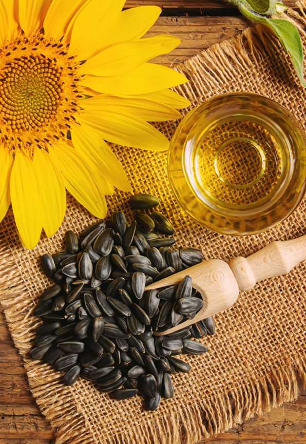 Understanding Nutrition Facts & Myths about Sunflower Oil 